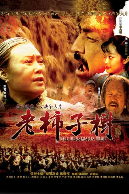 《老柿子树》：岁月静好下的暗流涌动，一棵树见证的乡村变迁。