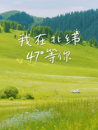 《我在北纬47°等你》：冰雪奇缘下的爱情童话，北纬47°的浪漫邂逅，能否融化冰封的心？