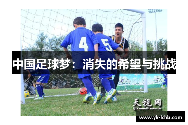 中国足球梦：消失的希望与挑战